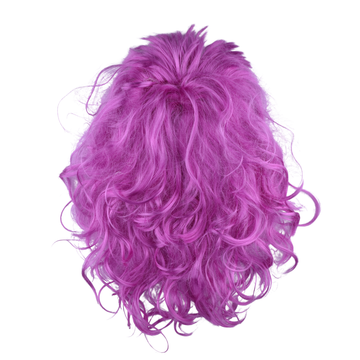 Colour Pop Curly Holi Hair Wig – Fun Party Wig for Kids & Adults