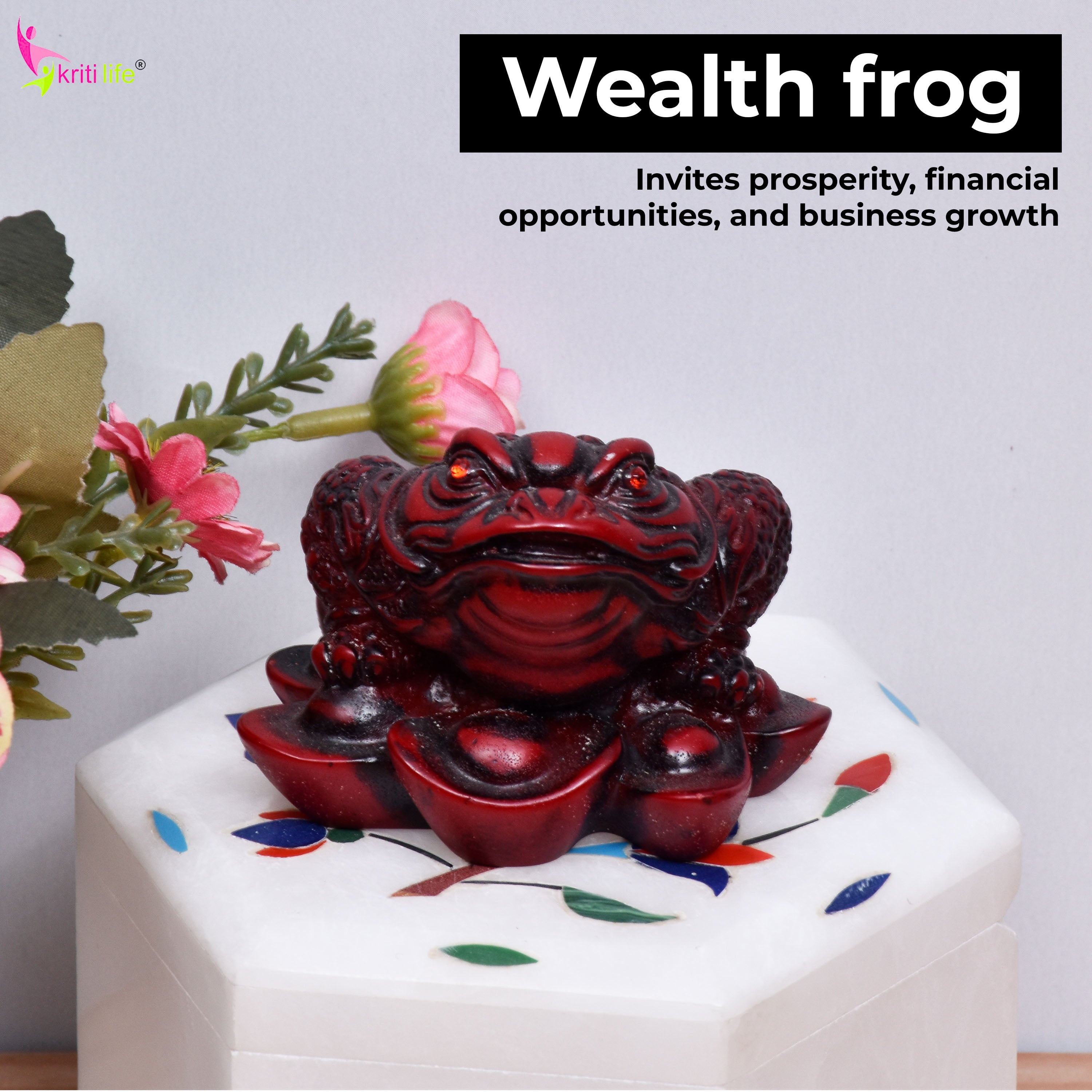 Kriti Life Office Energy Boost Combo