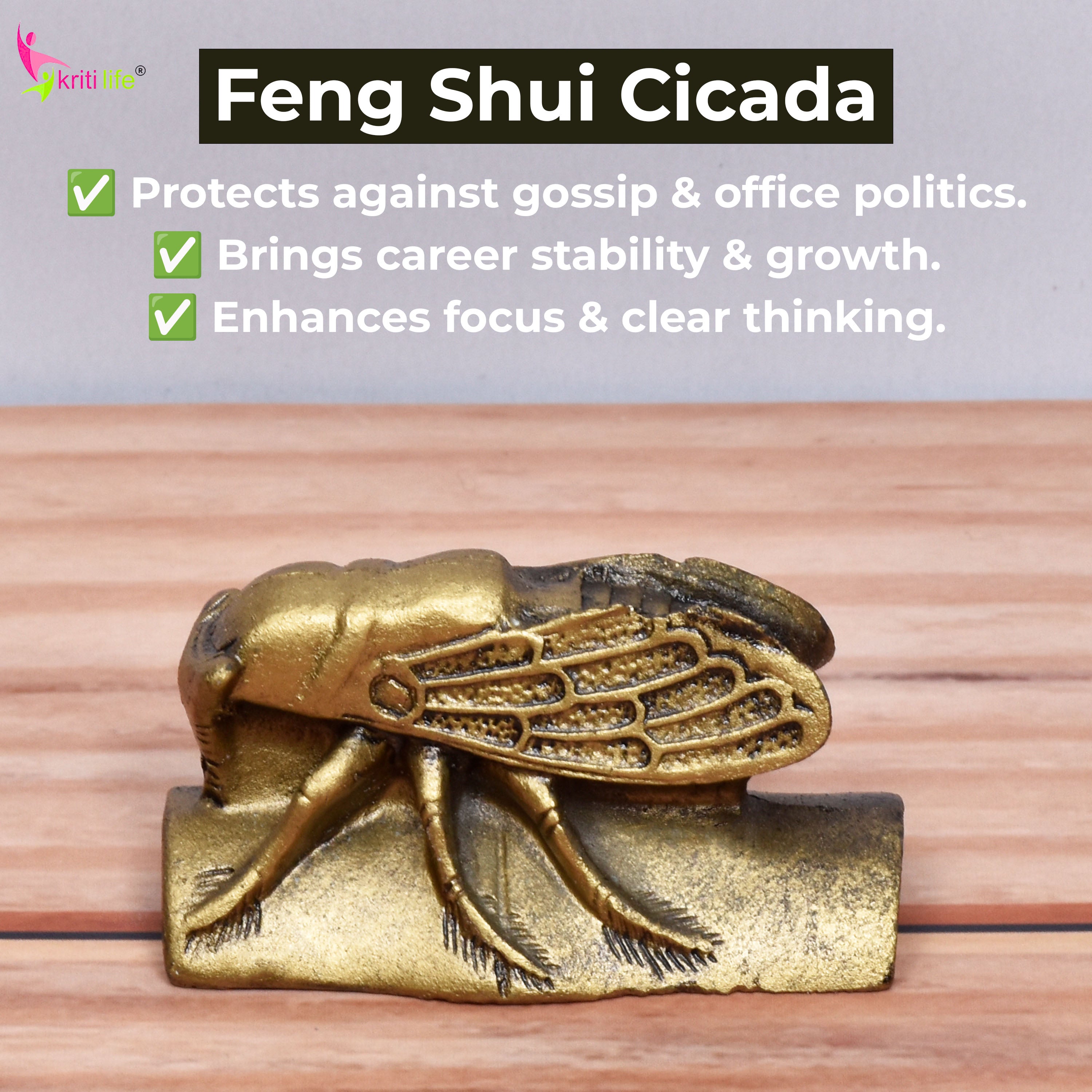 Kriti Life Office Energy Boost Combo